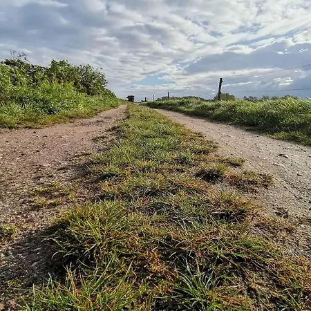 Luxury House With Pool - By Traum Tatil Evi *