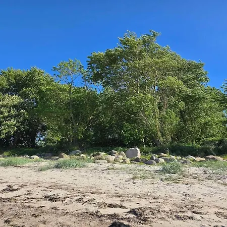 Tatil Evi Luxury House With Pool - By Traum *