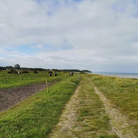 Tatil Evi Luxury House With Pool - By Traum