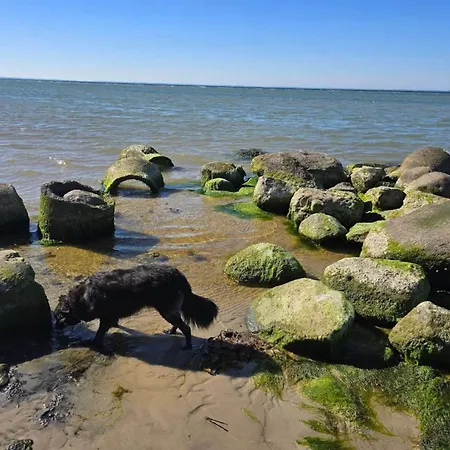 Luxury House With Pool - By Traum Tatil Evi Nordborg